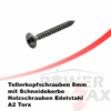 Tellerkopfschraube 8 x 80
