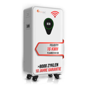 FLA48314-EU-16kwh-batterie.jpg
